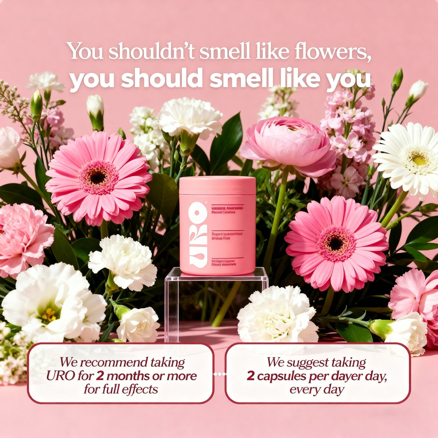 Vaginal Probiotic Capsules ✨ — Balance & Support Women's Health