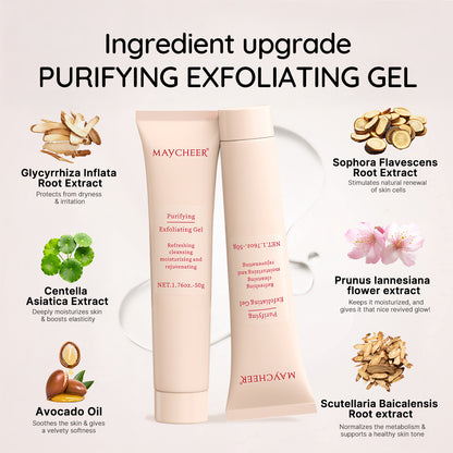 Purifying Exfoliating Gel - Deep Cleansing Face Scrub